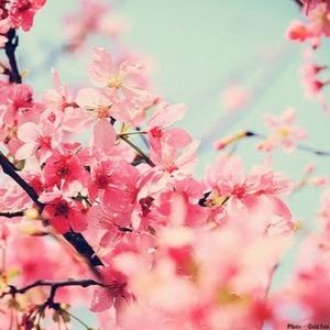 Meet your Posher, Claire